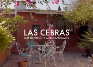 Altas capacidades